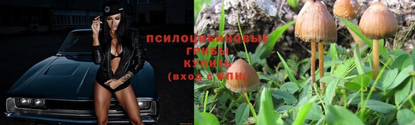 стаф Абаза