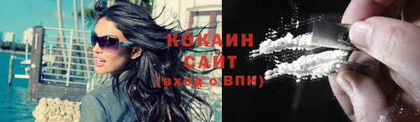 стаф Абаза
