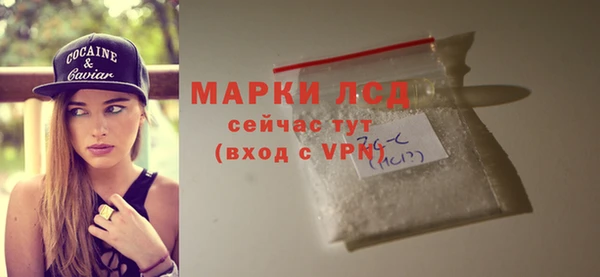 стаф Абаза