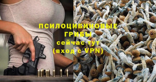 стаф Абаза