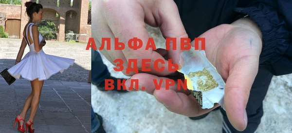стаф Абаза